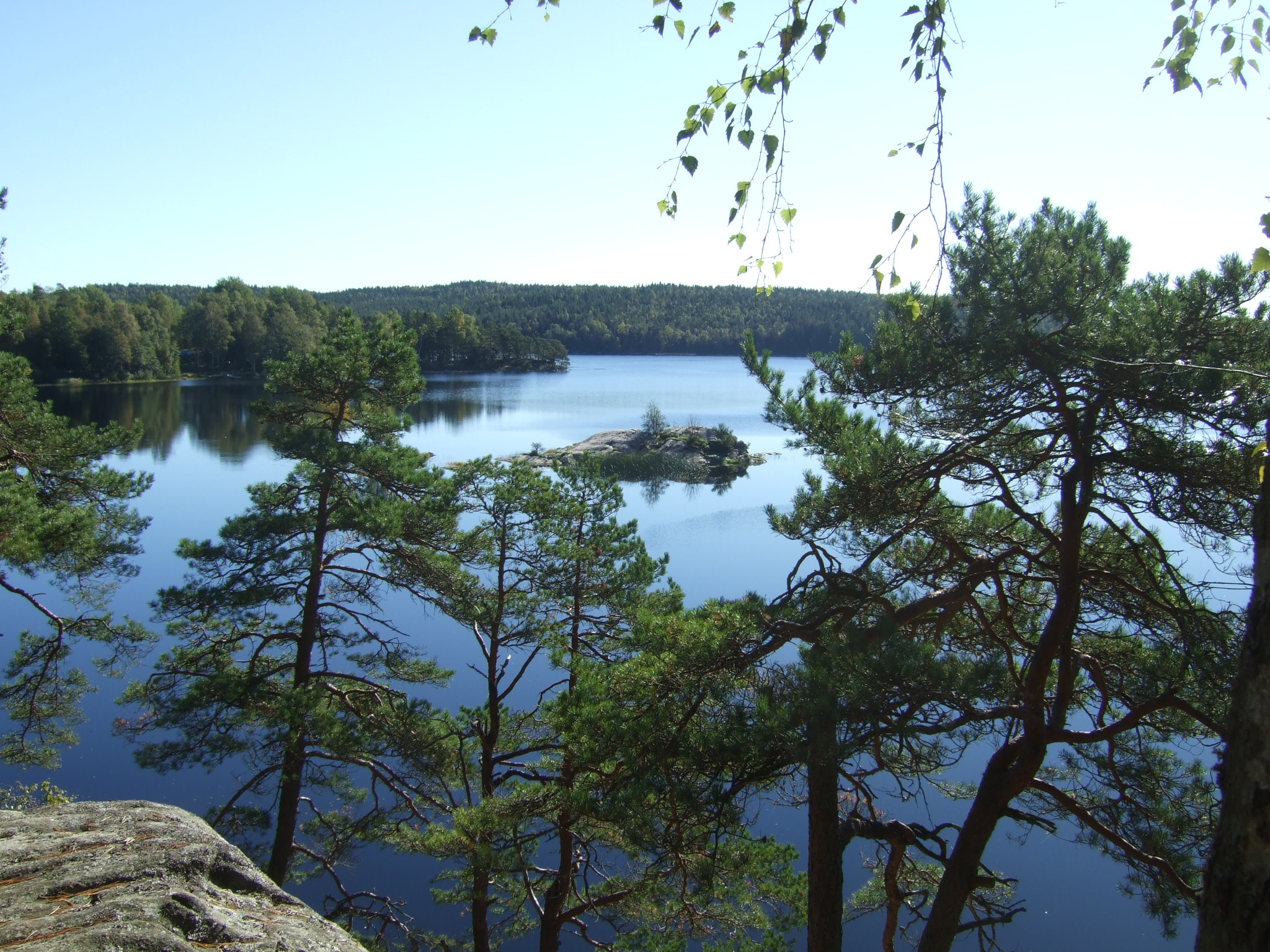 Utsikt över lilla Härsjön där man ser sjön och träd.