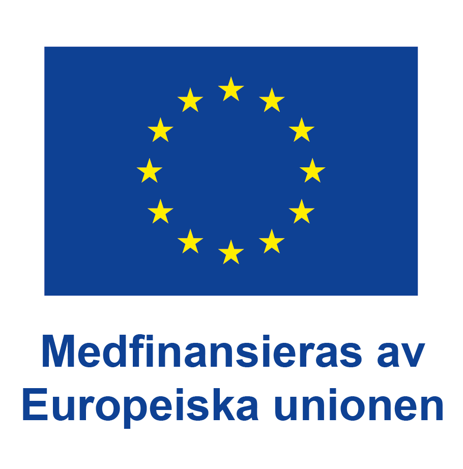 EU:s logotyp med texten "Medfinansieras av Europeiska unionen" 