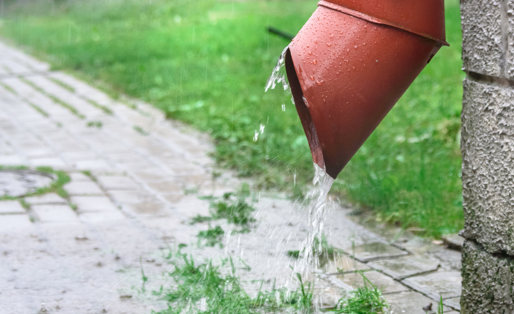 Regnvatten rinner ut på marken från ett stuprör. 