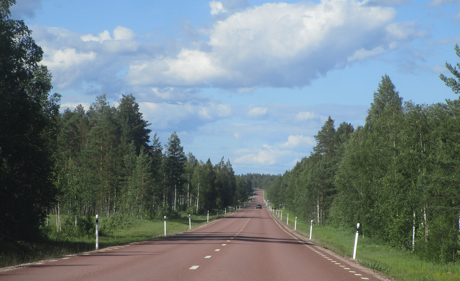 Tvåfilig bilväg genom skogslandskap